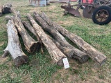 Hedge anchor post