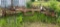 IH 4 row front mt cultivator