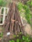 6.5' steel T-post