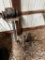 wire wheel on electric motor (on stand), small bench top vertical belt sander