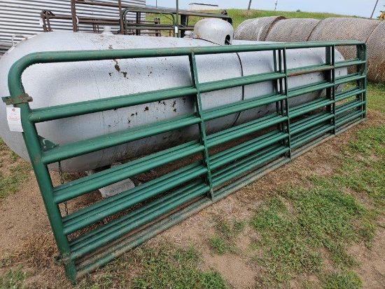 16' medium duty cattle high pipe gate
