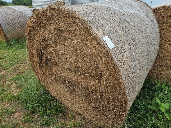 2nd cut alfalfa grass round bale, net wrapped, rained on