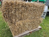 Wheat Straw Square Bale