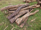 Hedge 8-9' Line Fence Post