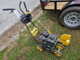 Brute push-type edger, Briggs & Stratton engine, very little use