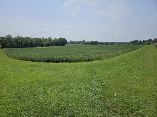 Mercer County, IL Land Auction - Steve R. Kenney