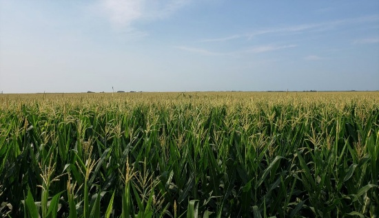 Warren County, IL Land Auction - Carson-Smith Farm