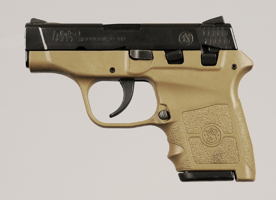 Smith & Wesson M&P Bodyguard 380 Pistol