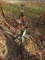 Lot of (4) B Pipe Stands