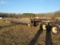 2015 Ledwell Drop Deck Trailer
