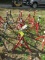 Set of 4 Pipe Stands