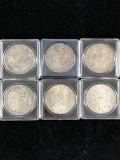 6 Morgan Dollars mixed Conditions, Years, Mintmarks