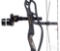 Hoyt Carbon Defiant compound bowl