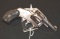 The American Double Action Revolver 38 cal, 6 shot