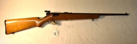 Stevens Savage Model 15A, .22 Short, Long, Long Rifle