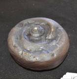 Rare large un-polished Ammonite Fossil