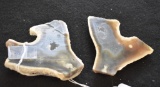 Speciman of Fossilized Coral, sliced into 2 parts