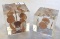 Set of 2 Plexi cube Paperweights with Lincoln Cents Inside