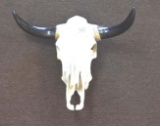 Large Steer Skull, Ready to Decorate, Paint or Display