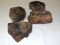 Various Specimans Petrified Wood Chunks 4 pcs apx 10 lbs