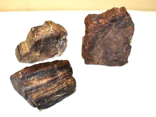 Three Large Chunks Petrified Wood Specimans