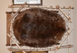Custom Mounted Beaver Pellet/Tanned Hide on Birch Bark Frame