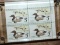 Migratory Bird Hunting Stamps Plate Block of 4, Unused; Canvasback Decoy: RW-42 1975-76