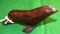 Carved Ironwood Seal 4 in long x 2 in high