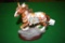 Decorative Spotted Pony Figure with Cerremonial Parade Gear 10.5