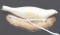 Eskimo Carved Marine Ivory Effigy on Tusk Slab 3 in long Excellent Artifact