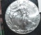 2016 American Eagle One Dollar, Unc. 1 Oz Fine Silver
