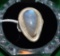 Tear Drop Shaped Ring with Opalized Moonstone set in 925 Sterling