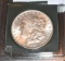 1889 U S Morgan Silver Dollar, Nice Clear Face, Exc Details on reverse Eagle Wings MS 63+
