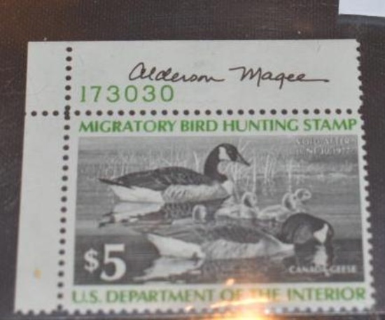RW 43 Upper Left corner Plate 1976-77 Migratory Bird Stamp, Artist signed