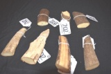 Large Grouping of Mixed Sizes Fossilized Walrus Tusks, Great for Crafts, Knife Making, Carving