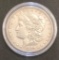 Morgan Silver Dollar