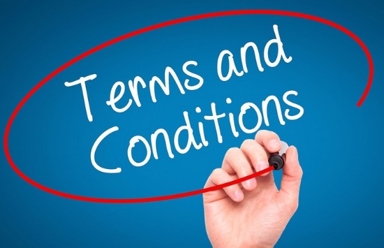 Terms and Conditions / Terms of Sale