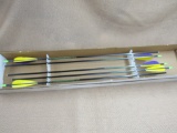 5 beman hunter arrows.