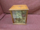 2 stuffed birds in glass case, see photos for details