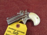 Davis Industries D-22 22lr. pistol sn: 520150