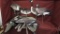 large lot of 2D goose decoys