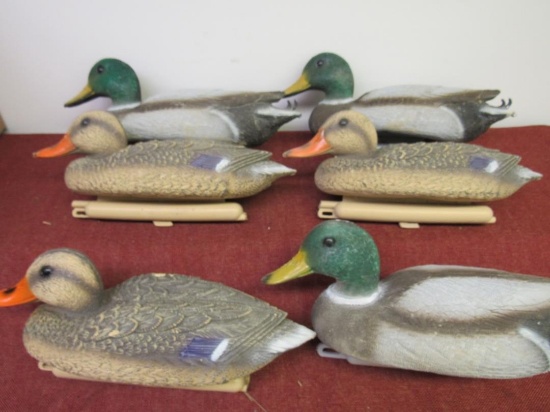 6 Mallard Duck Decoys, Previously used