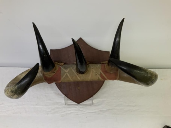 Unique Wall mount of Horns