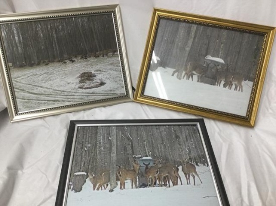 3 framed nature prints + 2 silverplate trophy plates -all 1$$