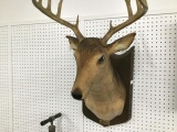 artificial deer mount wall hanging -musical