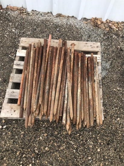 24 inch concrete form pins (approximately 60)