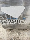 Asphalt/Paving PAVESTONE 21902