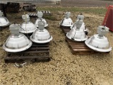 Genie Lights