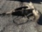 Bobcat B950 Skid Mounted Jack Hammer