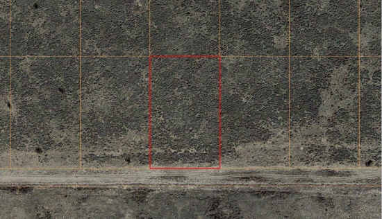 Cochise, AZ 85606 - 0.52 Acres of Single Household Residential land, $1 No Reserve!